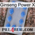 Ginseng Power X 21